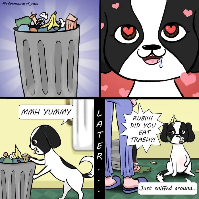 My 29 Comics That Every Dog Owner Will Understand
