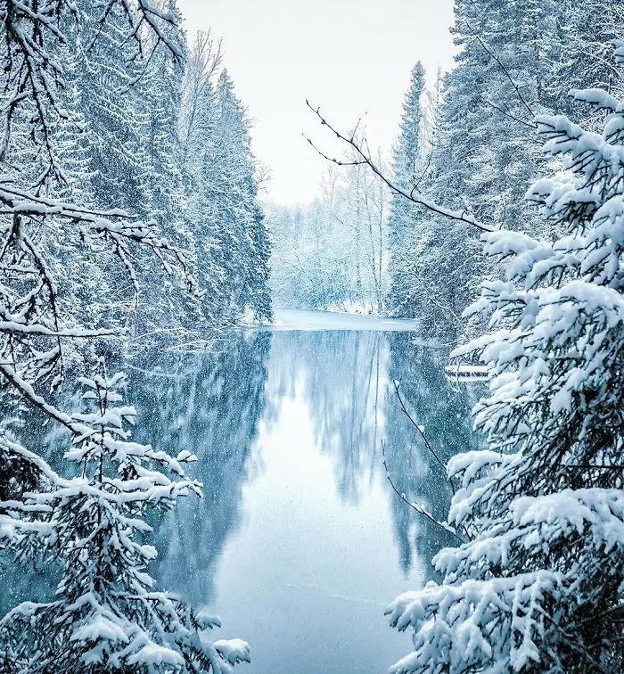Este fotógrafo demuestra que los bosques de los cuentos son reales en Finlandia (41 fotos)
