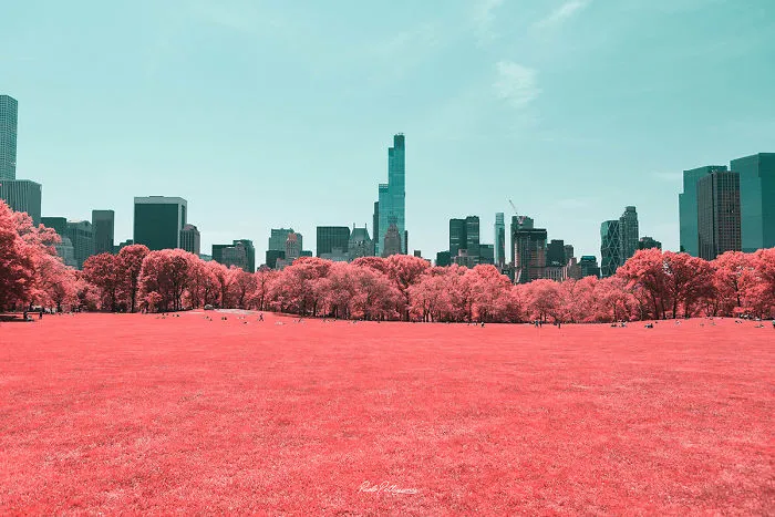Paolo Pettigiani Uses Infrared Photography To Give Us A Different View Of The World