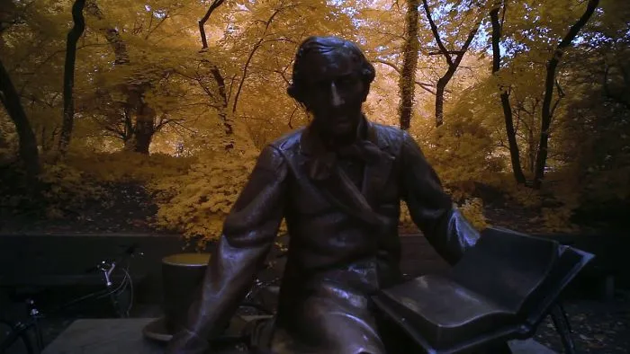 Central Park Nyc Infrared Video