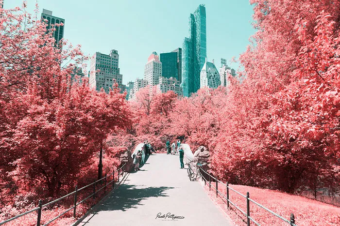 Paolo Pettigiani Uses Infrared Photography To Give Us A Different View Of The World
