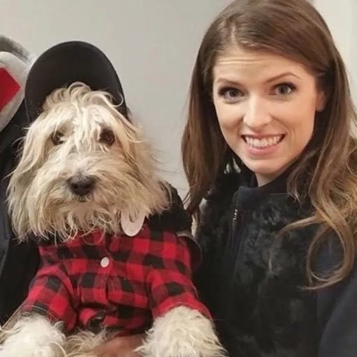 25 Times Anna Kendrick Proved She's A Real-Life Disney Princess