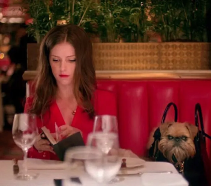 25 Times Anna Kendrick Proved She's A Real-Life Disney Princess