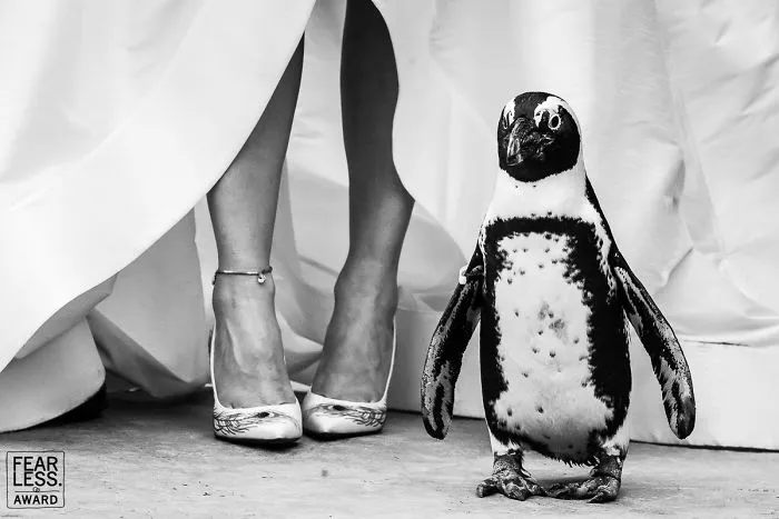 Las mejores fotos de bodas de 2018 muestran lo que ocurre cuando pagas a un buen fotógrafo
