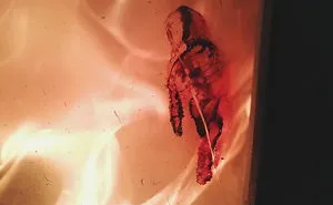 An Eskimo Man Showed Up On The Glass Of Our Fireplace.
our Fireplace Is Apparently An Artist Too.
#pareidolia