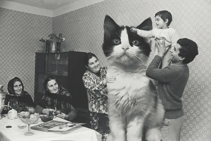 I Photoshopped Cats Into New Year's Photos From The Former USSR