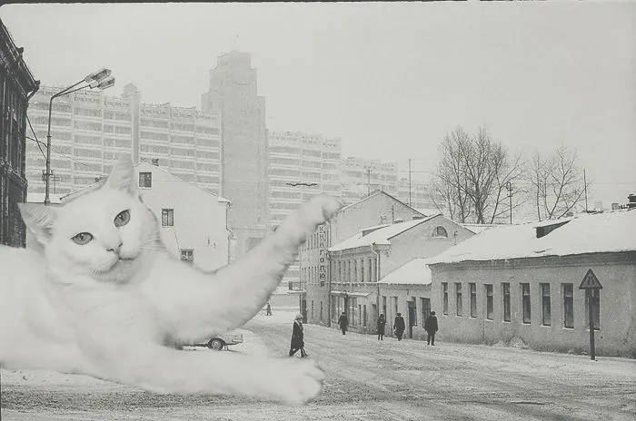 I Photoshopped Cats Into New Year's Photos From The Former USSR