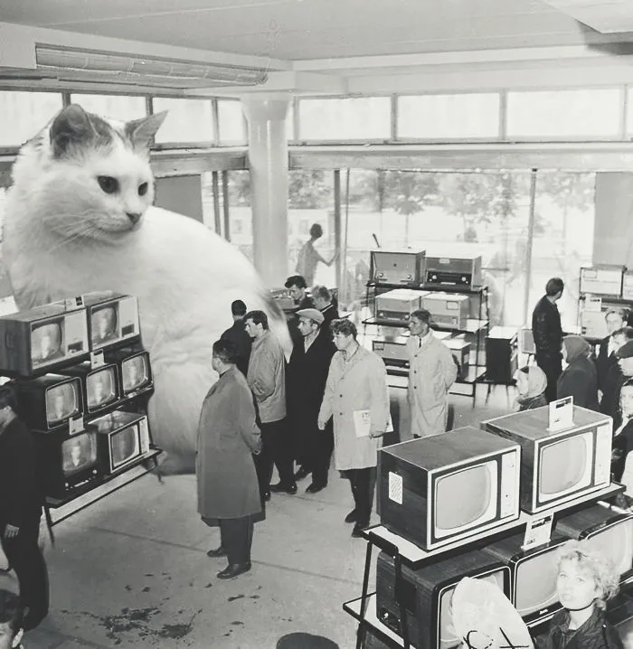 I Photoshopped Cats Into New Year's Photos From The Former USSR
