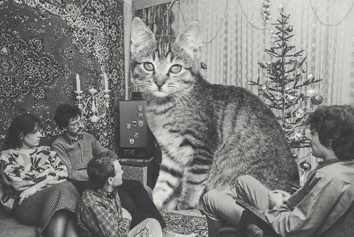 I Photoshopped Cats Into New Year's Photos From The Former USSR