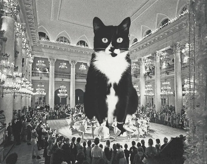 I Photoshopped Cats Into New Year's Photos From The Former USSR