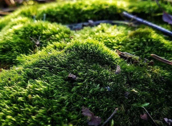 16 Pictures Of The Overlooked Beauty Around Us
