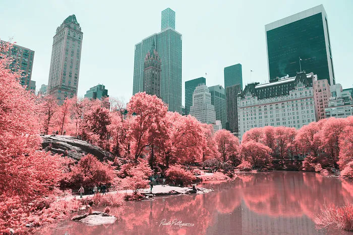 Paolo Pettigiani Uses Infrared Photography To Give Us A Different View Of The World