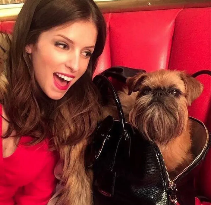 25 Veces que Anna Kendrick demostró ser una princesa Disney de verdad