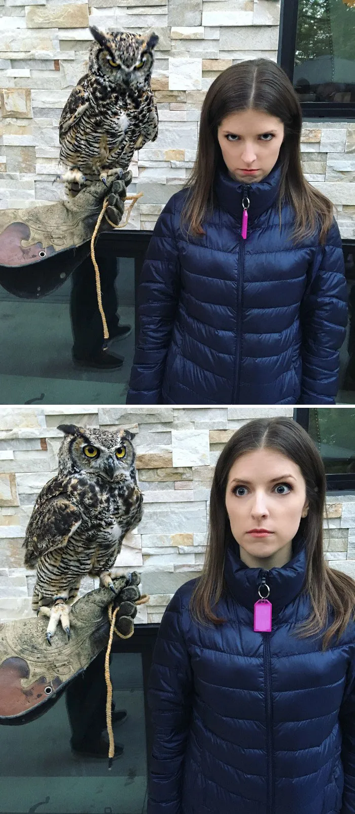 25 Times Anna Kendrick Proved She's A Real-Life Disney Princess
