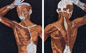 I Used Marble, Stone And Precious Gems To Create Realistic Mosaics Of 16th Century Anatomical Drawings