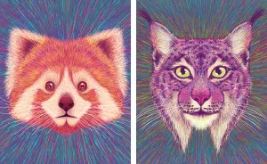 Calendar 2019 - Losing Wildlife