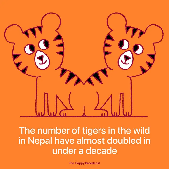 I'm Honestly Fed Up With All The Bad News So I Illustrated The Best News Of 2018 (And Recent Years)