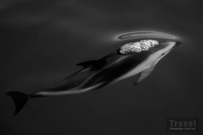 Tranquillity, Commended, Scott Portelli, Australia