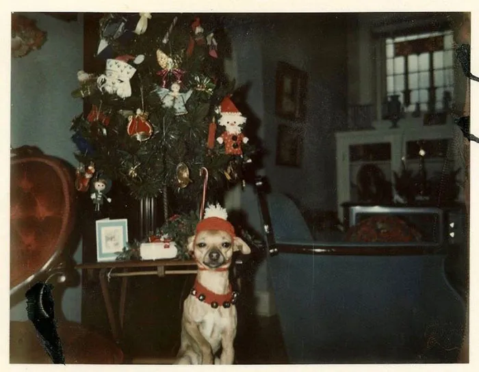 50 Photos Of Christmas Home Decor In The 1950s And 1960s Show How Much Things Have Changed