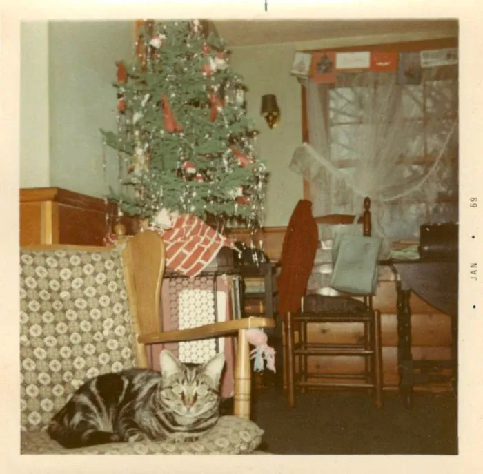 50 Photos Of Christmas Home Decor In The 1950s And 1960s Show How Much Things Have Changed