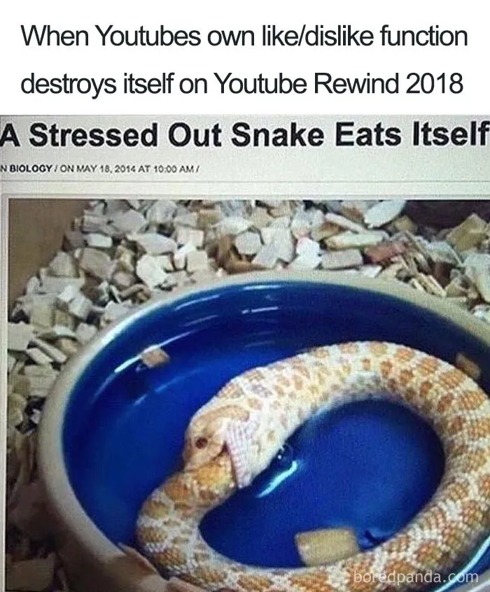 'YouTube Rewind 2018' Becomes The Most Disliked Video On Youtube, And Here Are 50 Best Reactions