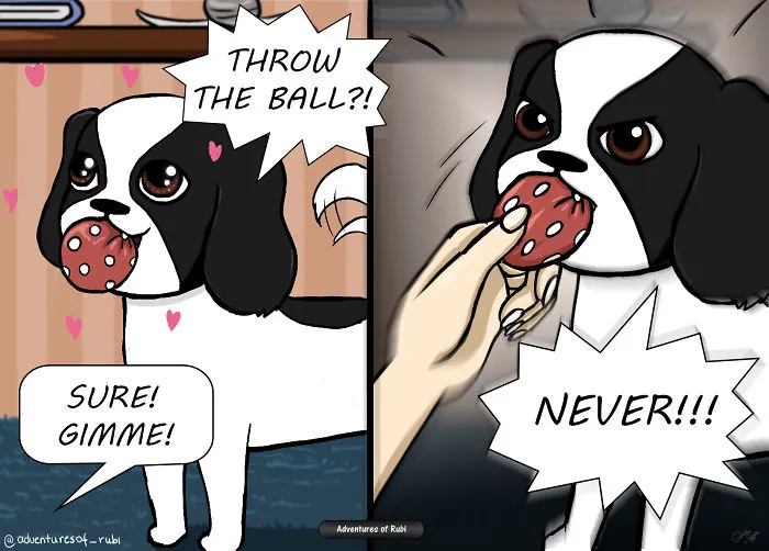 My 29 Comics That Every Dog Owner Will Understand