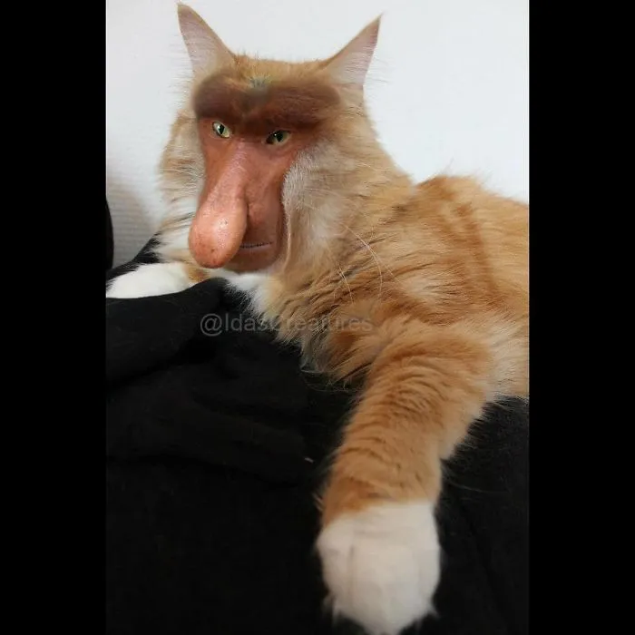 People Are Submitting Pics Of Their Pets To This Instagrammer, And She Gives Them Hilarious Makeovers