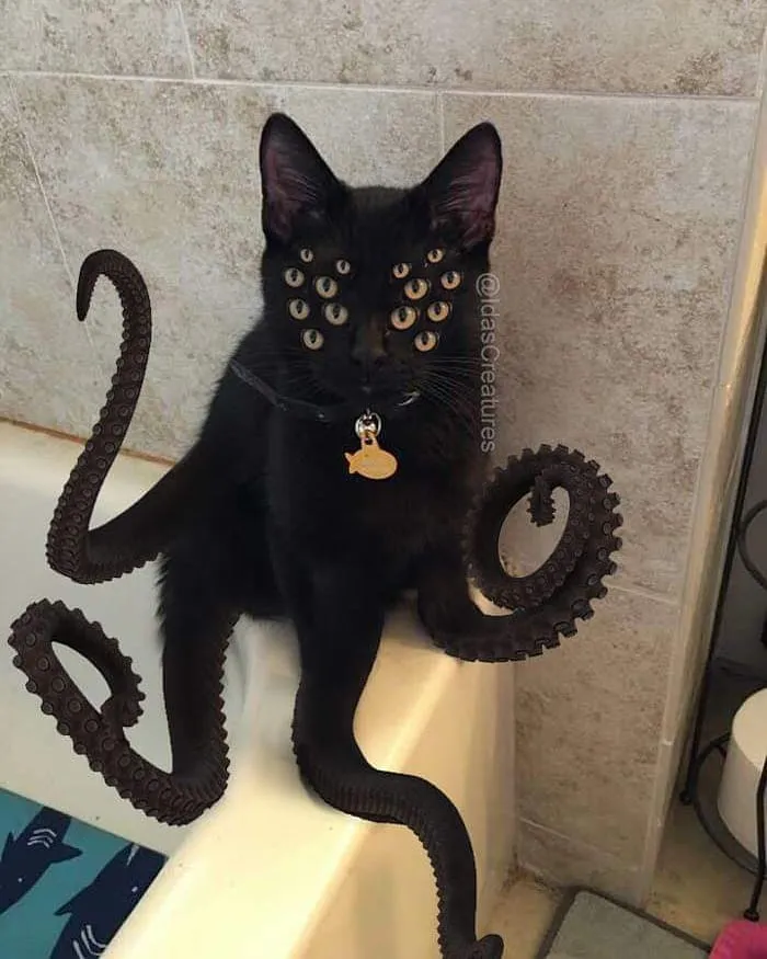 People Are Submitting Pics Of Their Pets To This Instagrammer, And She Gives Them Hilarious Makeovers