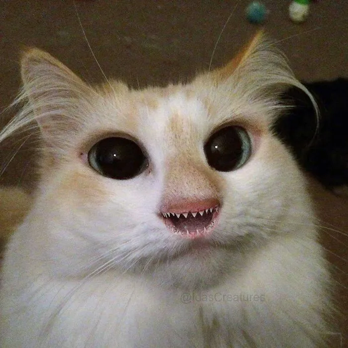 People Are Submitting Pics Of Their Pets To This Instagrammer, And She Gives Them Hilarious Makeovers