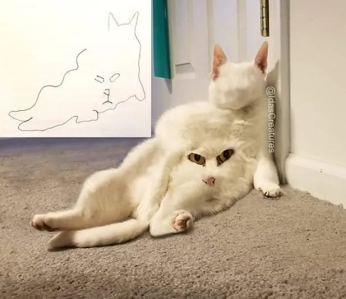 People Are Submitting Pics Of Their Pets To This Instagrammer, And She Gives Them Hilarious Makeovers