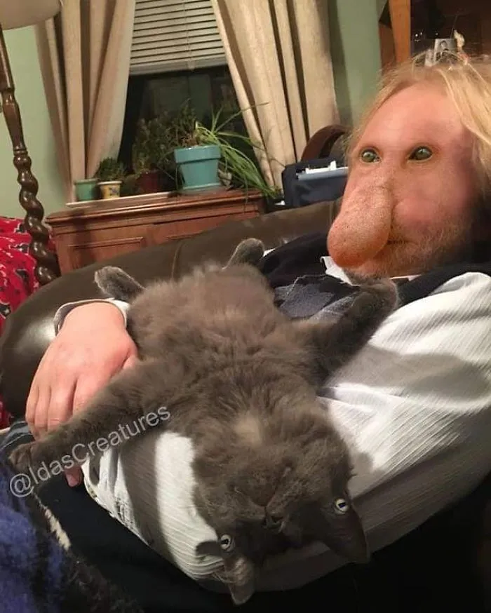People Are Submitting Pics Of Their Pets To This Instagrammer, And She Gives Them Hilarious Makeovers