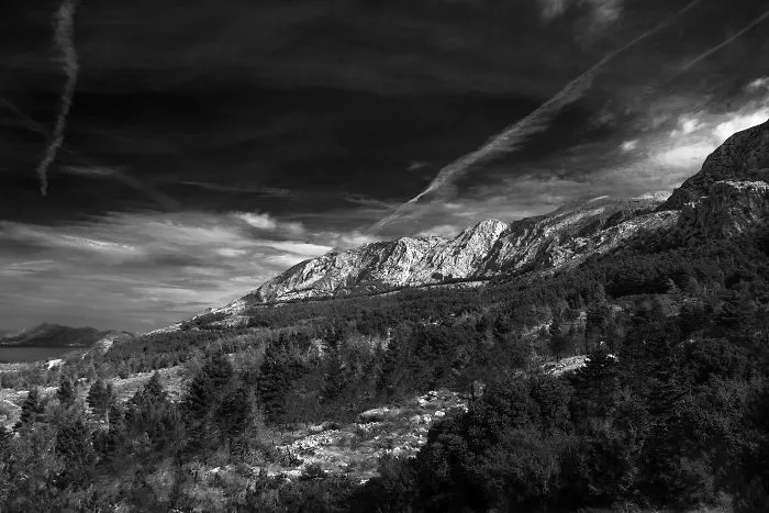 I Love To Escape With My Camera (Part 2)