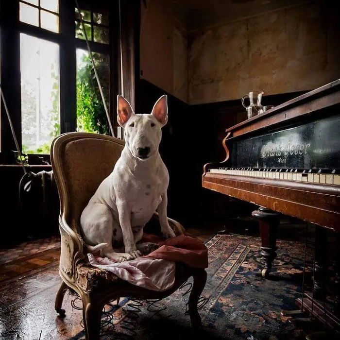 Sing Us A Song, You're The Piano(Wo)man