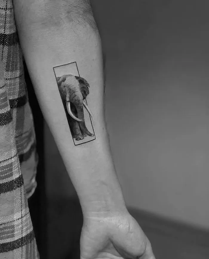 Elephant
