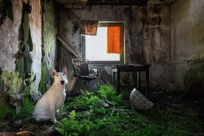 La naturaleza nunca pasa de moda