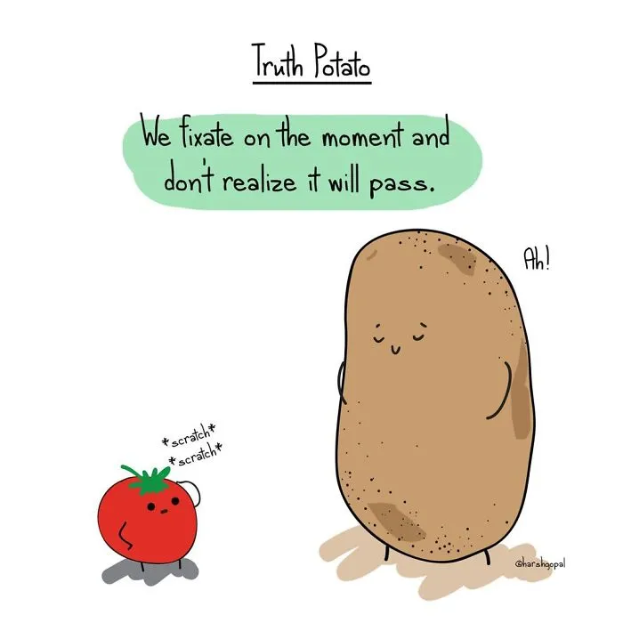 50 Truths That You May Deny But Which Are Actually True (By Truth Potato)