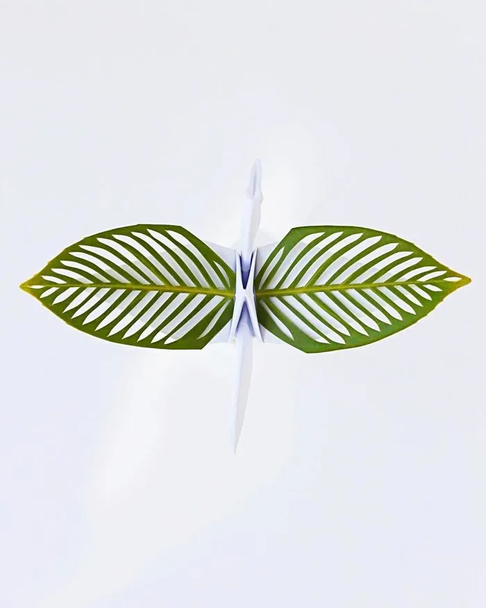 Some Time Ago I Challenged Myself To Create An Origami Crane Every Day For 1000 Days (New Pics)