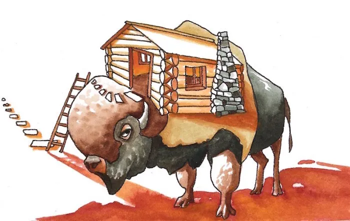 Bison House