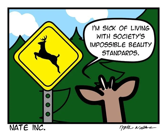My 44 Comics With Cynical Humor