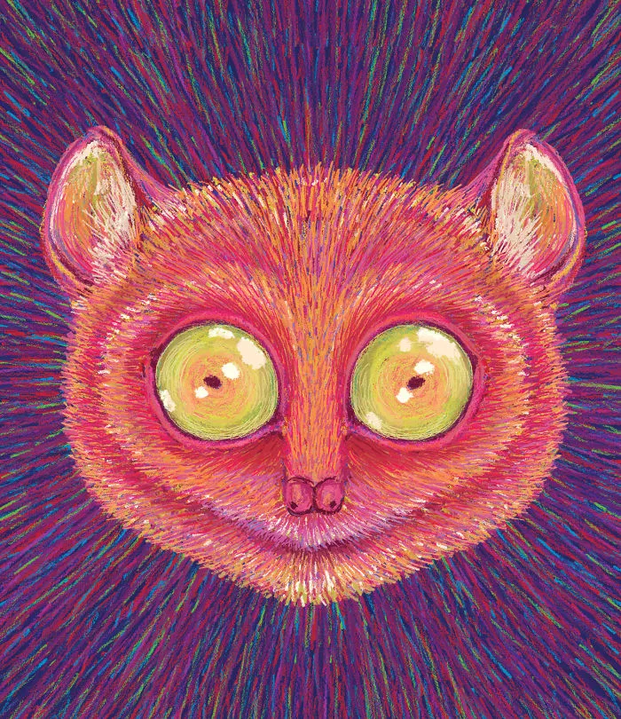 Tarsier