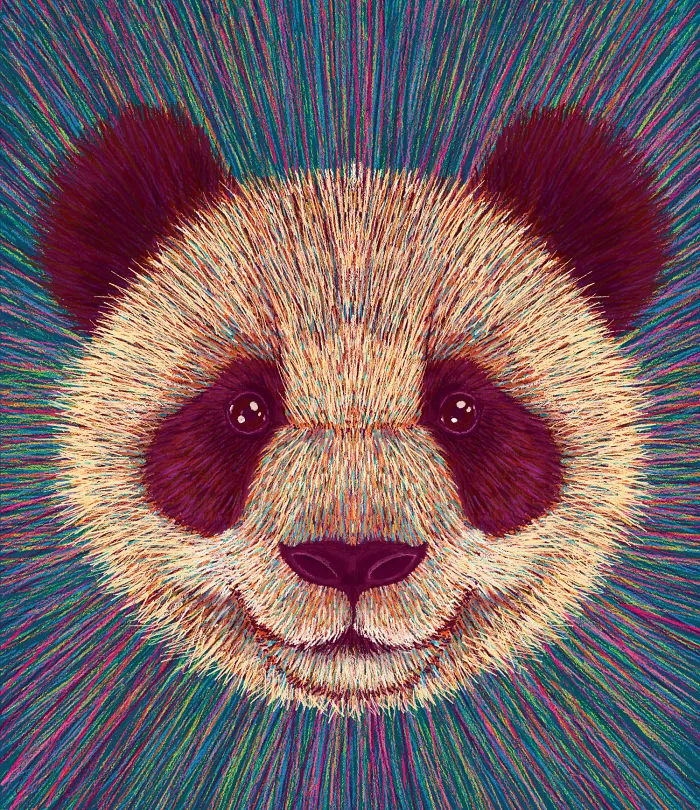 Giant Panda