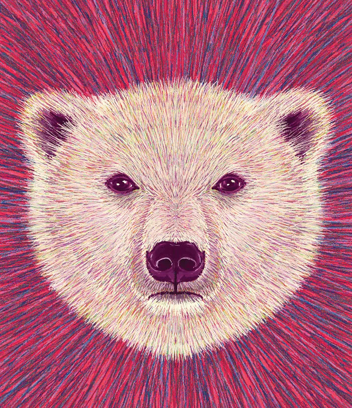 Polar Bear