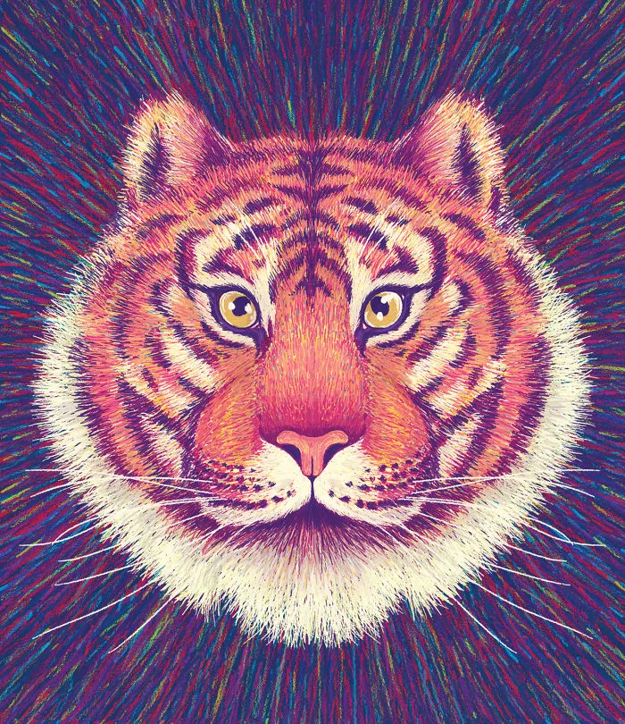 Bengal Tiger