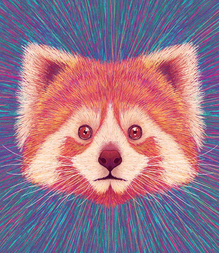 Red Panda