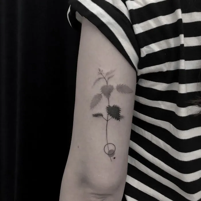 I Design Tattoos Inspired By Minimalism And Botanical Illustrations