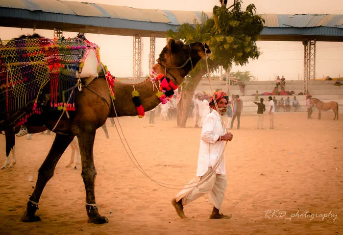 Strangers To Friends: Pushkar Mela