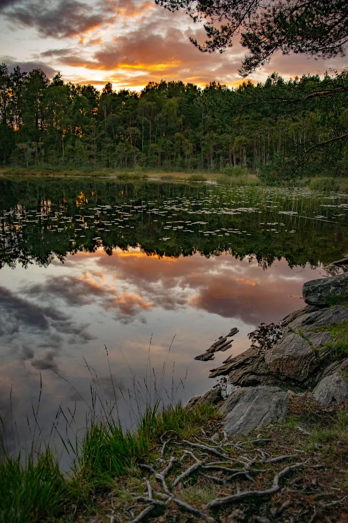 Discovering The Close Surroundings Of My New Home, Sweden