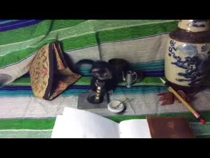 Needle Felt Artist Creates Stop Motion Animations In Her Shed.