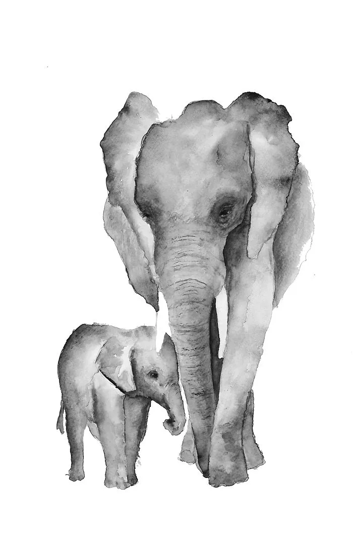 The One Grey One