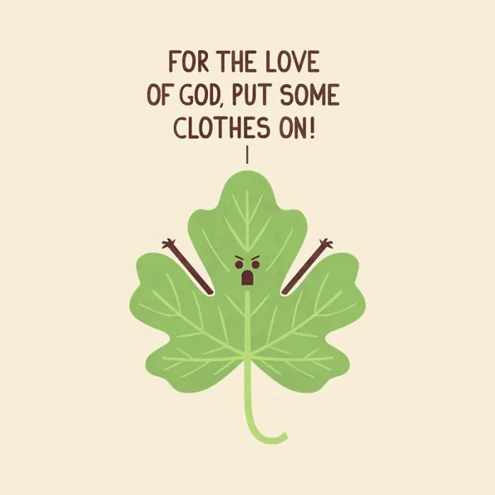 Fig Leaf